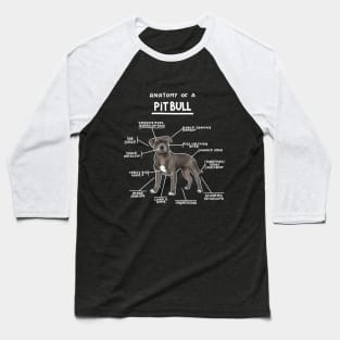 Anatomy of a PitBull Baseball T-Shirt